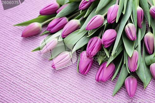 Image of tulips
