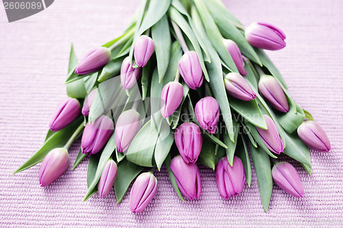 Image of tulips