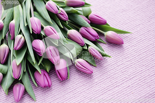 Image of tulips