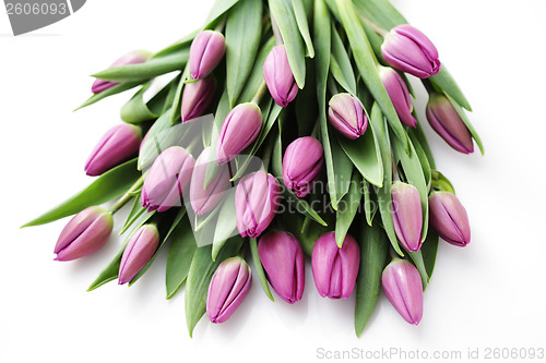 Image of tulips