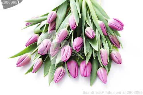 Image of tulips