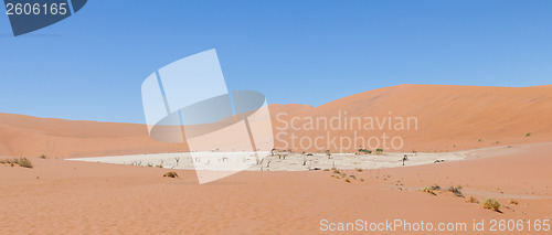 Image of View over the deadvlei with the famous red dunes of Namib desert