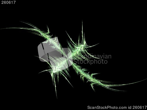 Image of Green plant abstract