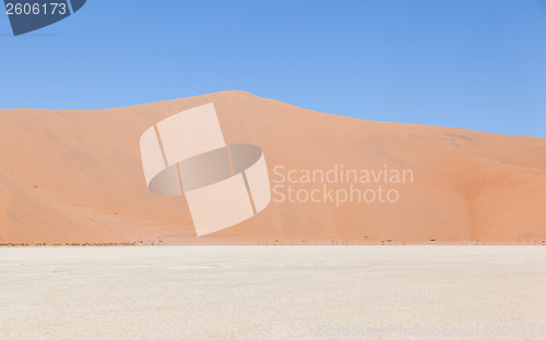 Image of View over the deadvlei with the famous red dunes of Namib desert