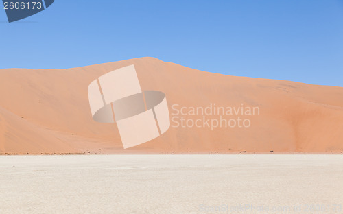 Image of View over the deadvlei with the famous red dunes of Namib desert