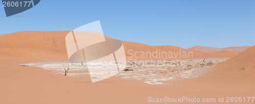 Image of View over the deadvlei with the famous red dunes of Namib desert