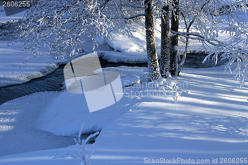 Image of Winter