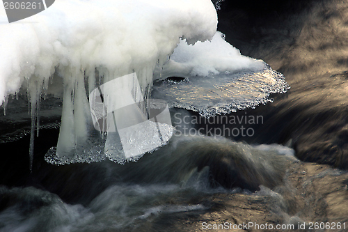 Image of Winter