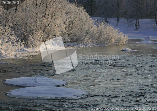 Image of The winter river