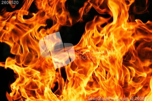 Image of Fire