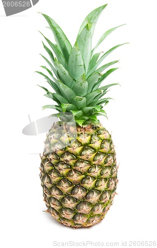 Image of Pineapple