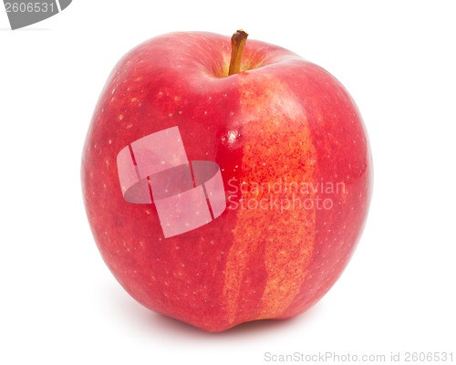 Image of Apple