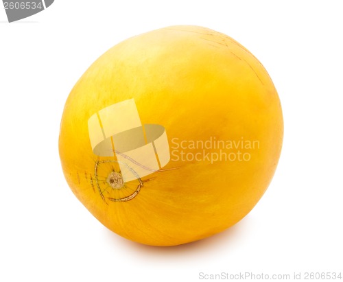 Image of Melon