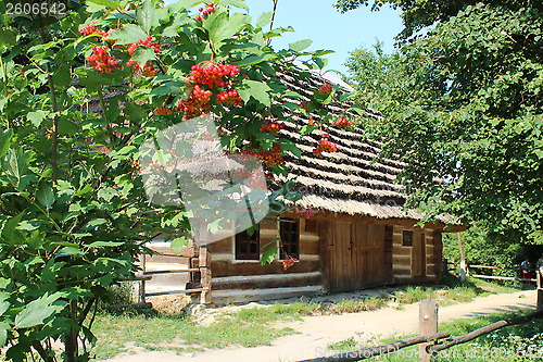 Image of red guelder-rose besides an old rural house