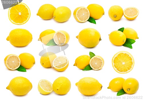 Image of Lemon