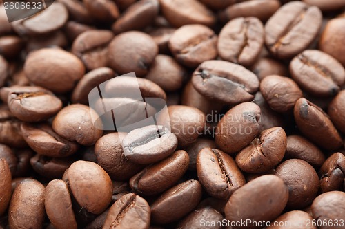 Image of Coffee beans