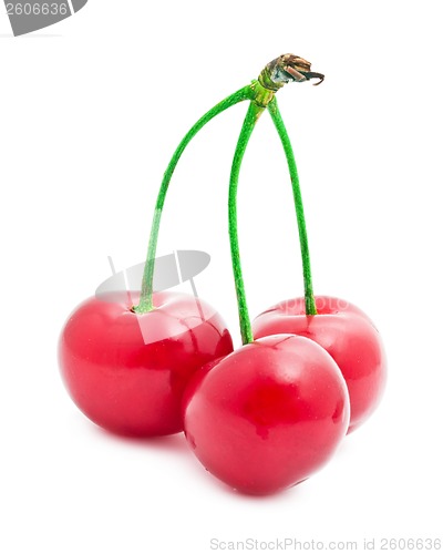 Image of Red cherry