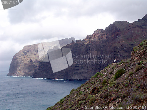 Image of MSh