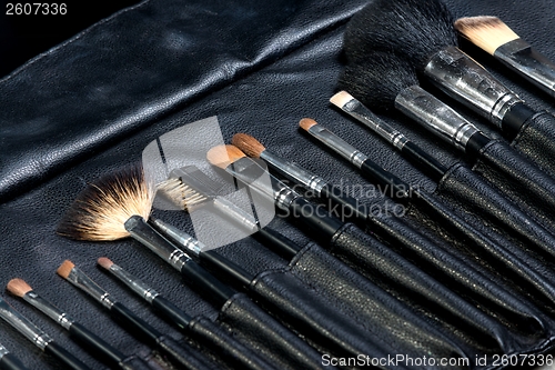 Image of Makeup Tools in a leather case