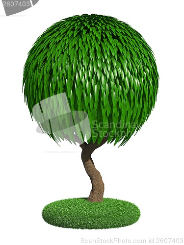 Image of Single Tree Isolated on White Background.