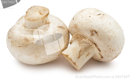 Image of Champignon mushrooms