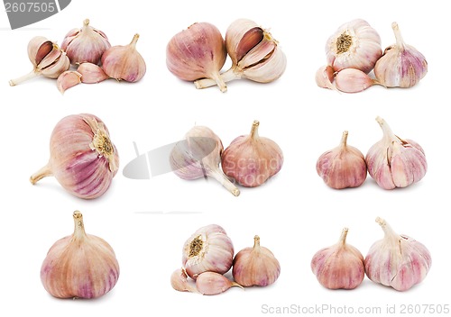 Image of Garlic