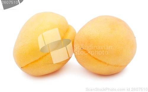 Image of Apricots