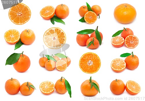 Image of Mandarins