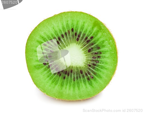 Image of Kiwi
