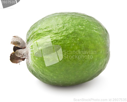 Image of Feijoa fruit