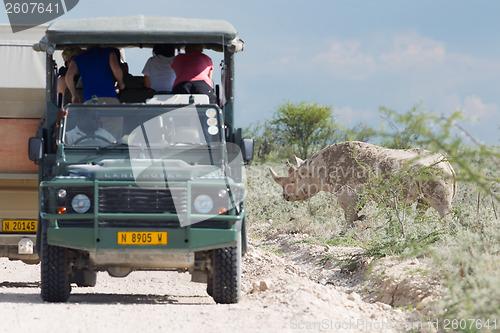 Image of ETOSHA, NAMIBIA, 31 dec 2013 - Black rhinoceros photographed by 