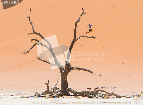 Image of SOSSUSVLEI, NAMIBIA, 26 dec 2013 - Tourist runs down a red dune.