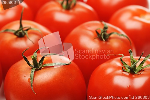 Image of Tomatoes