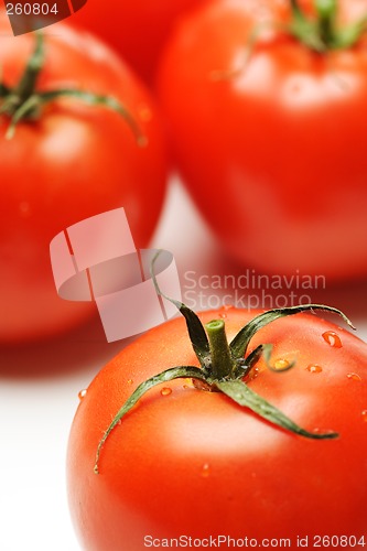 Image of Tomatoes