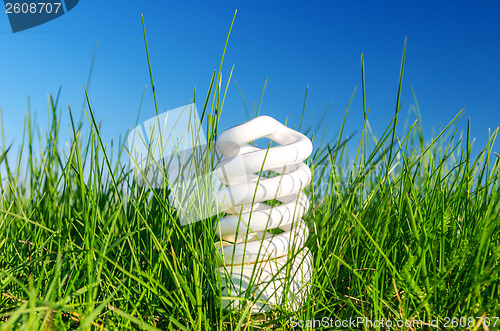 Image of energy saving bulb in green grass against blue sky