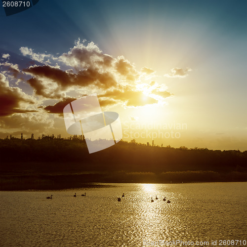 Image of sunset over pond with dark water and swans