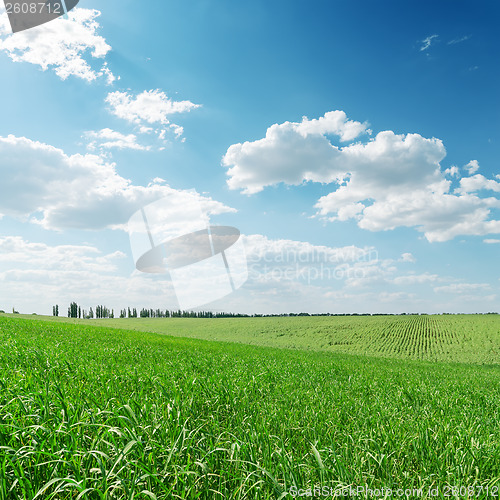 Image of green grass field and clouds over it