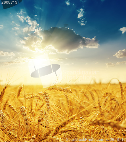 Image of sunset over field with golden harvest