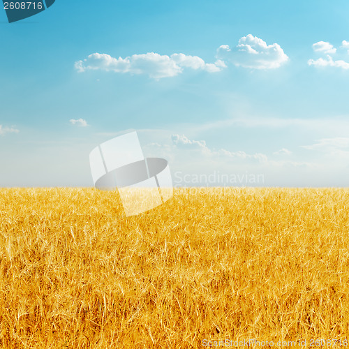 Image of golden field with harvest and cloudy sky