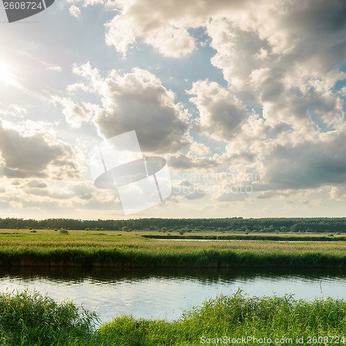 Image of sunset over river with green canes