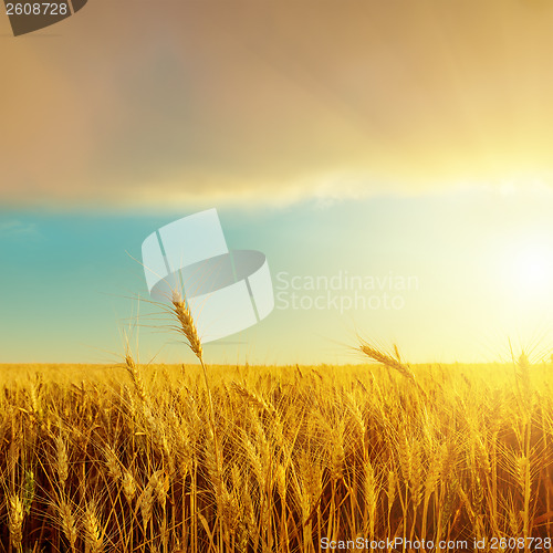 Image of harvest field and sunset over it