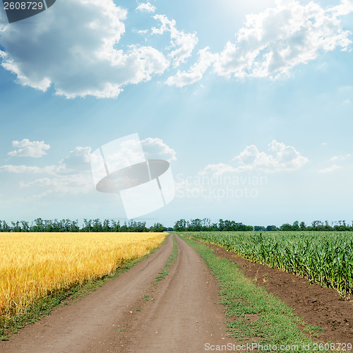 Image of sunny sky with clouds over road in agriculture fields