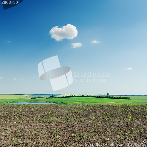 Image of agriculture spring field and cloud in blue sky