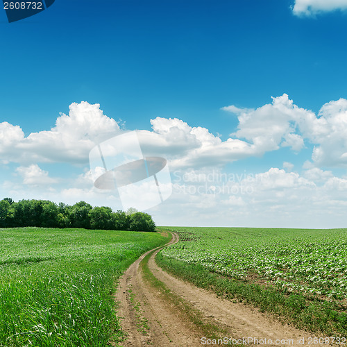 Image of road in green fields and blue sky with clouds