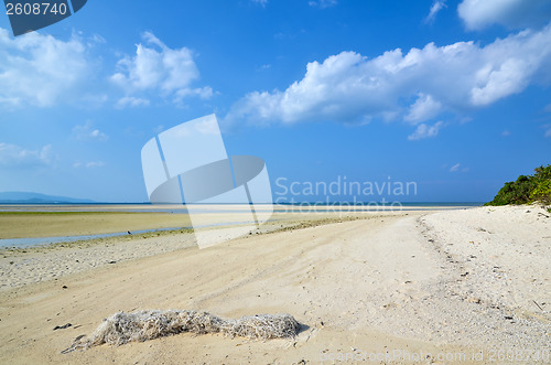 Image of Old fishing net at beach