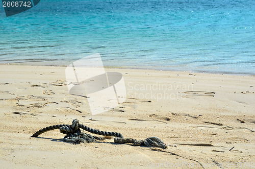 Image of Cord at beach