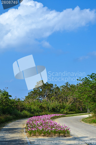 Image of Pink flower bed