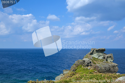 Image of Coastal cliff