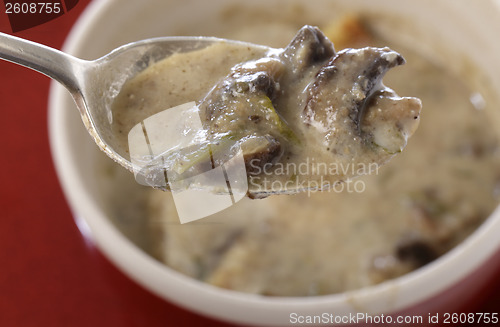 Image of Homemade cream of mushroom soup
