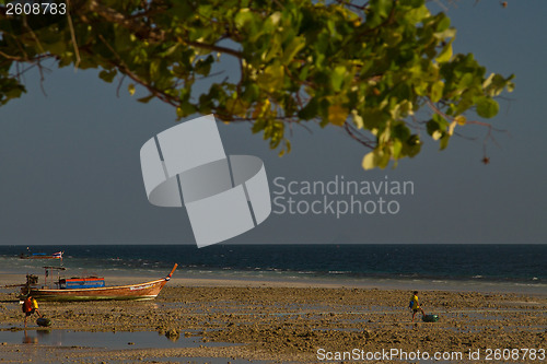 Image of Long tail boat  in Thailand